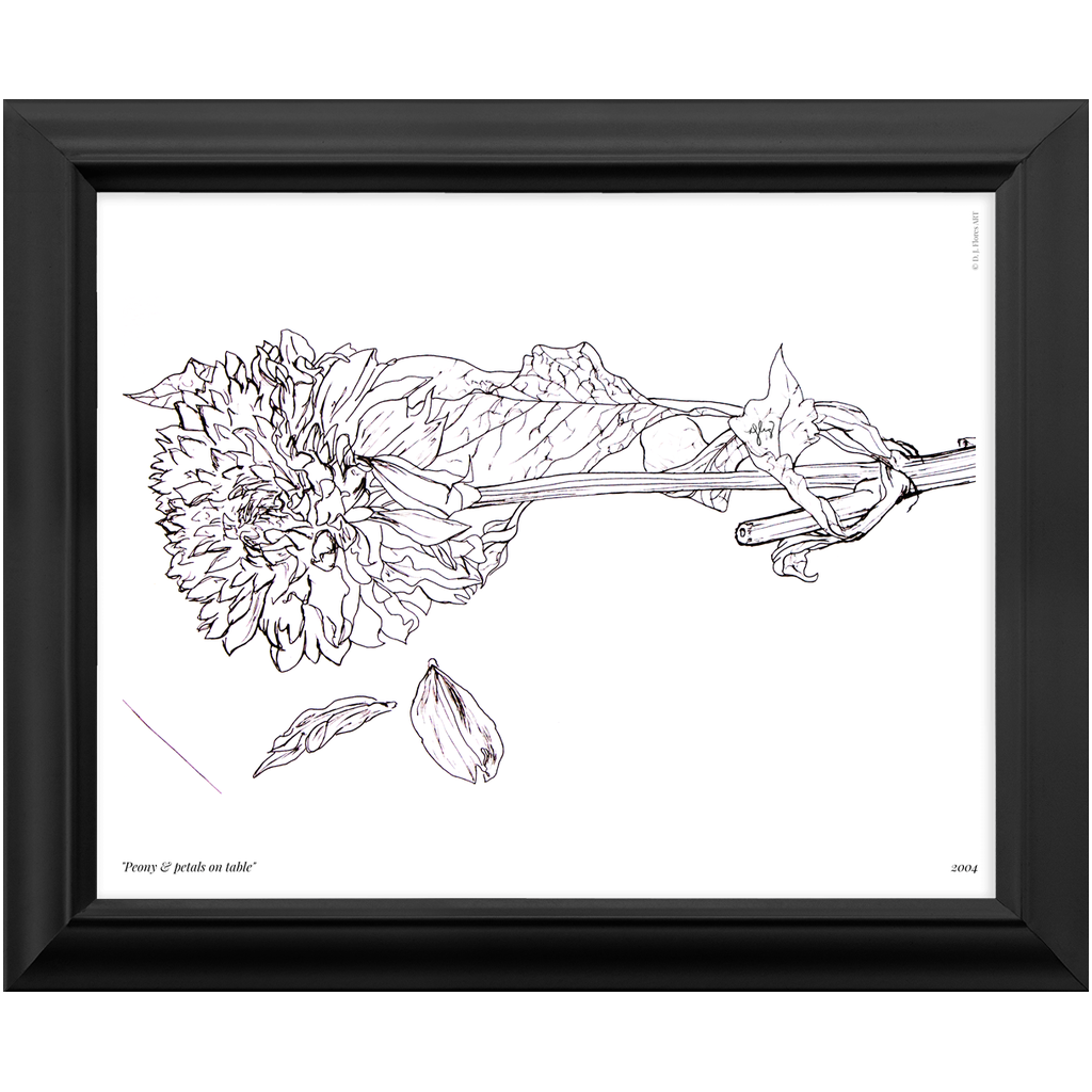 "Peony & Petals on table" Framed Print