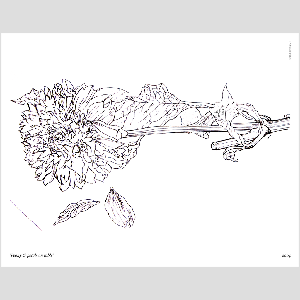 The Art School Collection | "Peony & petals on a table"Print