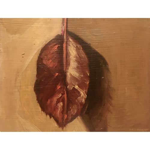 "Leaf Study II" Oil on Paper