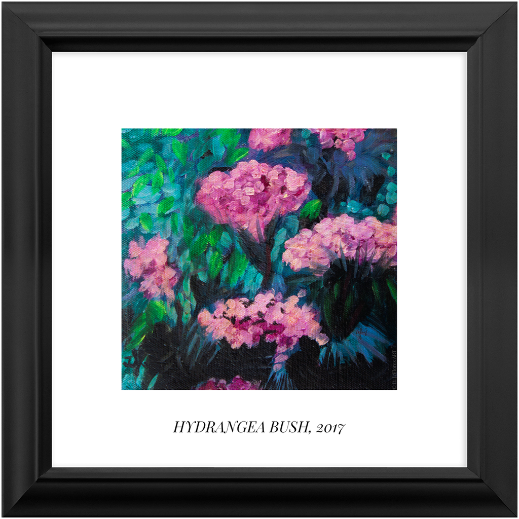 "Hydrangea Bush" Framed Print