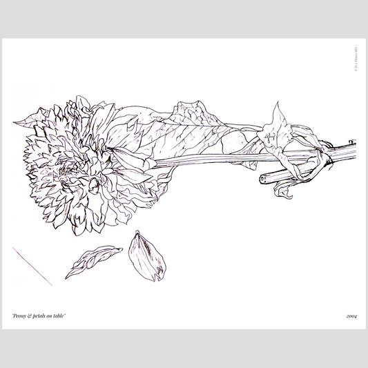 The Art School Collection | "Peony & petals on a table"Print