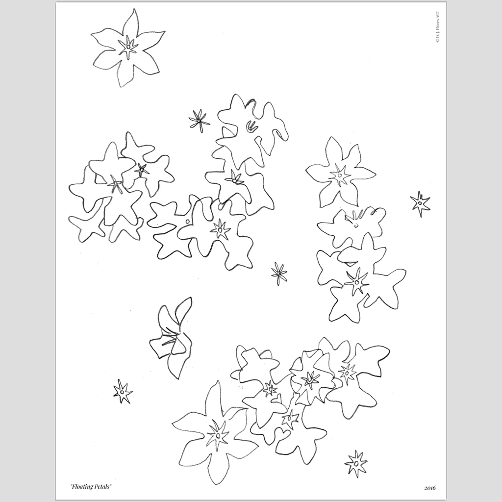 The Floral Drawings | "Floating Petals"Print