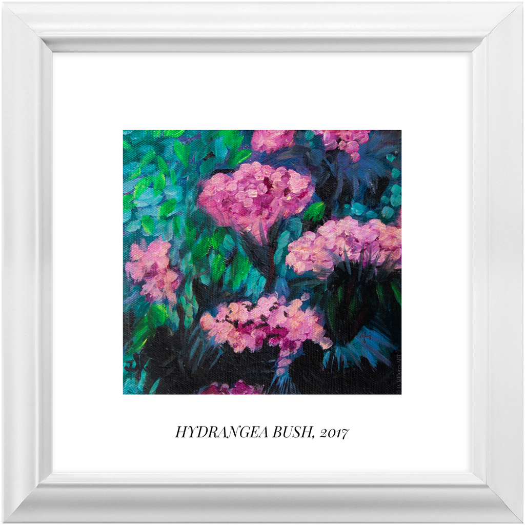"Hydrangea Bush" Framed Print