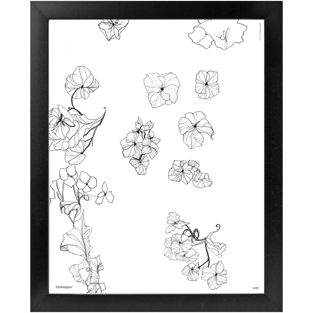 "Hydrangeas" Framed Print